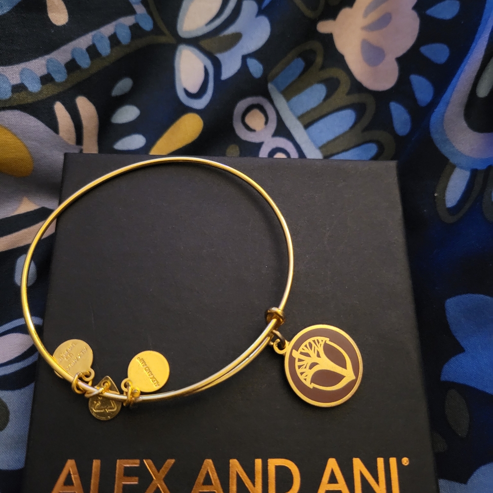 Alex and Ani Gold Charm Bracelet